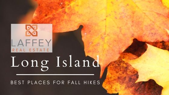 Long Island Fall Hiking - Laffey Real Estate